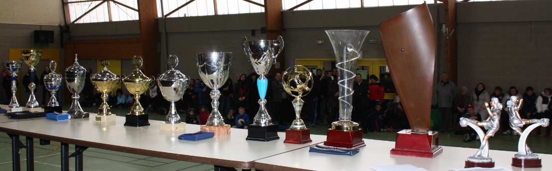 Les coupes/trophes offert pour cette edition 2013