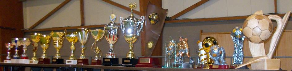 Coupes de l'dition 2010